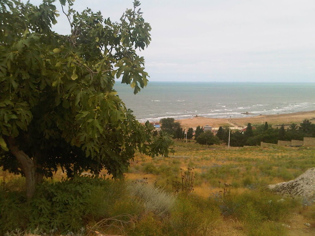 View from Prof. Gindess sanatorium, Бузовна