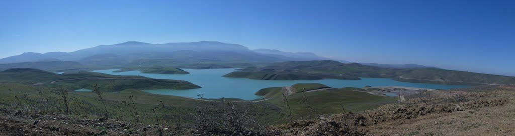 Reservoir, Дивичи