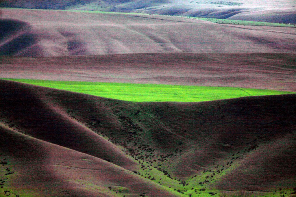 Plaine du Caucase (environs de Sheki), Истису