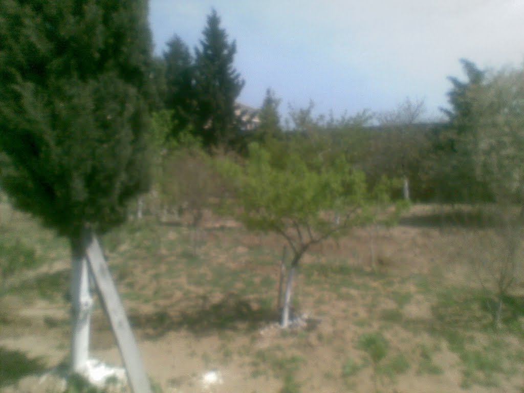 Our garden in Mashtaga, Маштага