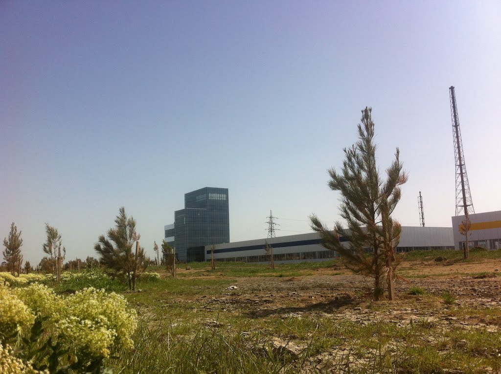 Alternative Energy, Azerbaijan: AZGUNTEX - solar panel manufacture plant, Сумгаит