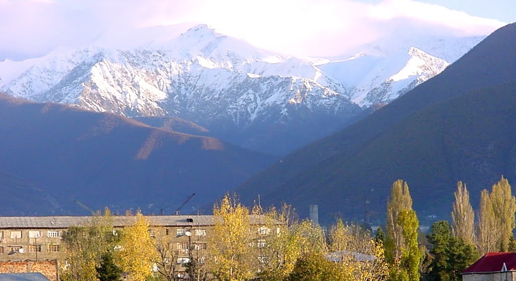 Greater Caucasus, Шеки