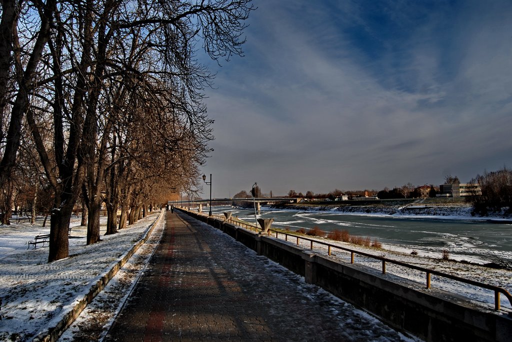 Riverside in winter - Szolnok Tisza-part DSC_3649-1, Сольнок
