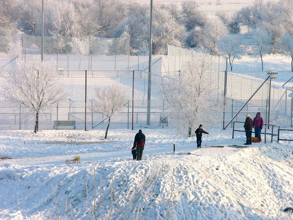 (Szolnok )      Tél......Winter, Сольнок
