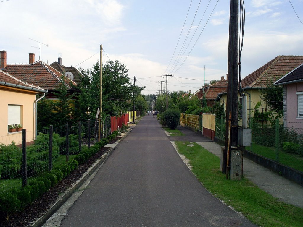 Kertvárosi utca, Сольнок