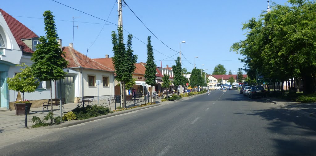 SoltvadkertKossuth Lajos utca, Байя