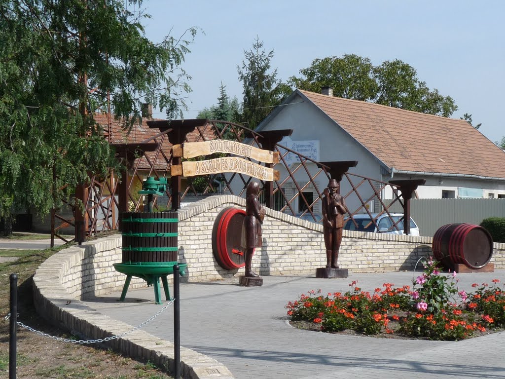 Soltvadkert a szőlő és bor városa, Байя