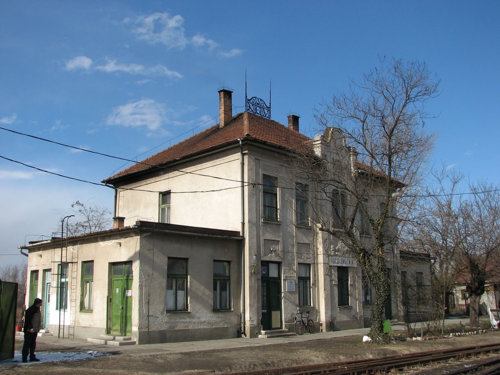 Kecskemét kisvasúti állomás, Кечкемет