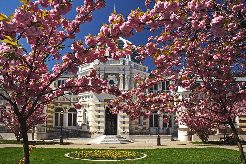 Tavaszi színek - Colors of Spring (2007), Мишкольц