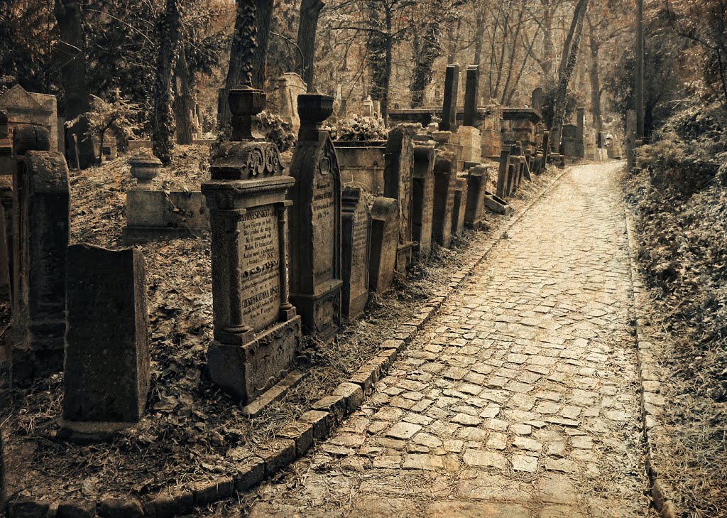 Az út / The way (Avasi református temető/ Avas protestant cemetery), Мишкольц