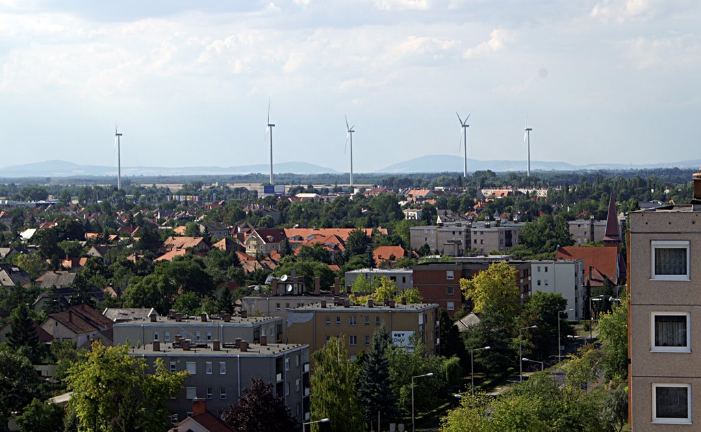 Panorama, Мошонмадьяровар