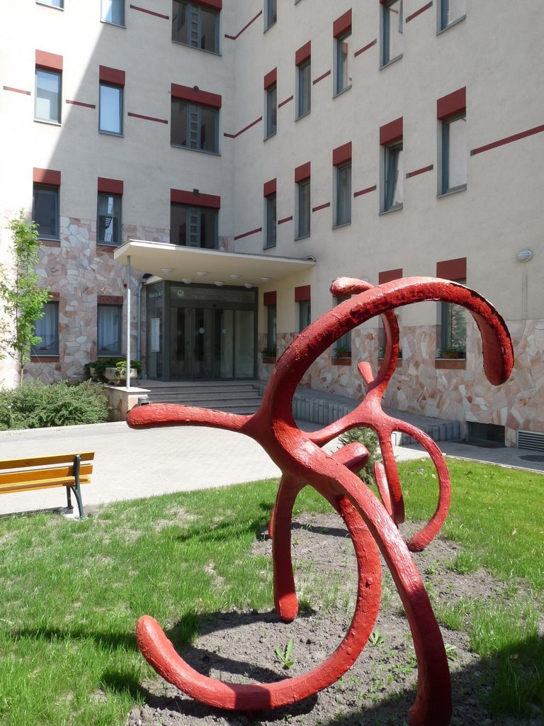 Modern szobor a kollégium bejáratánál - Dunai vasszamurájok Alkotó: Farkas Zsófia, Дунауйварош