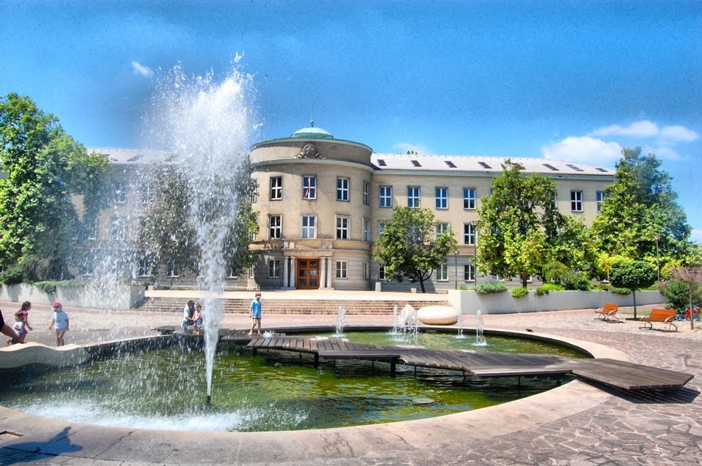 A Dunaújvárosi Főiskola, Дунауйварош