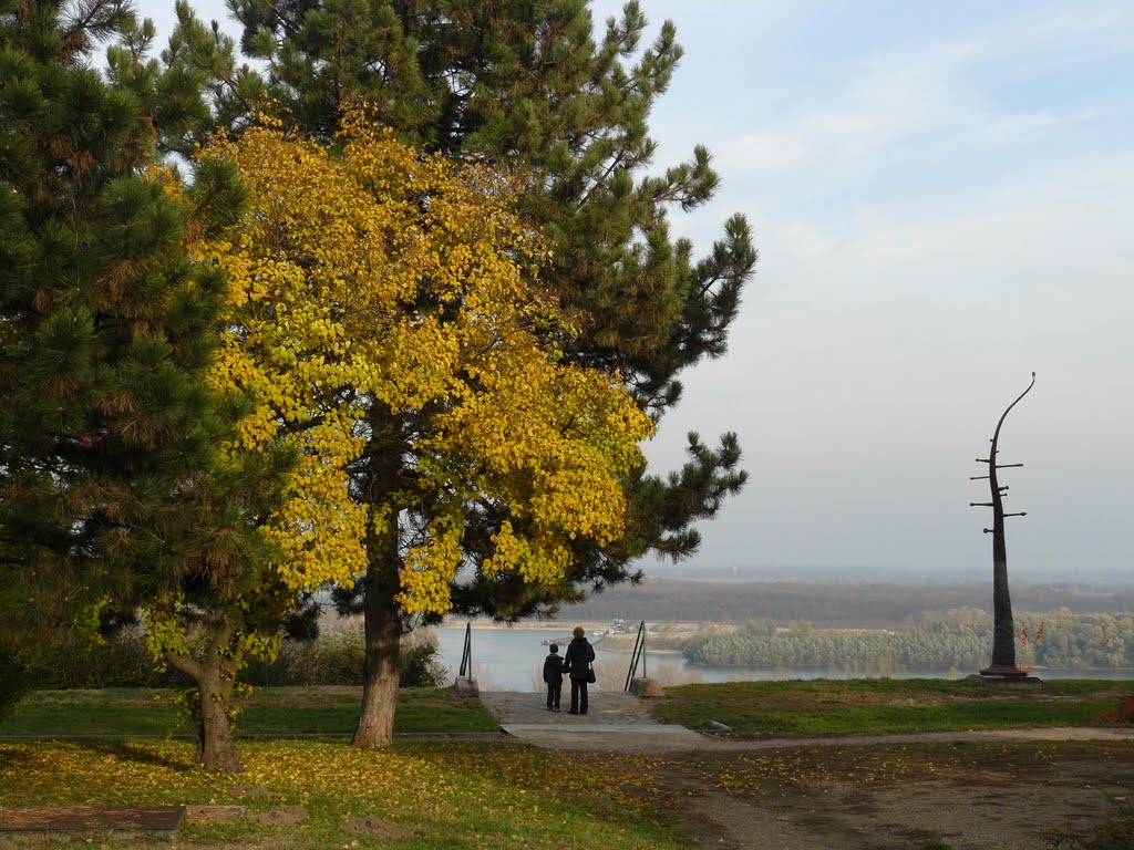 Walk on the riverbank, Дунауйварош