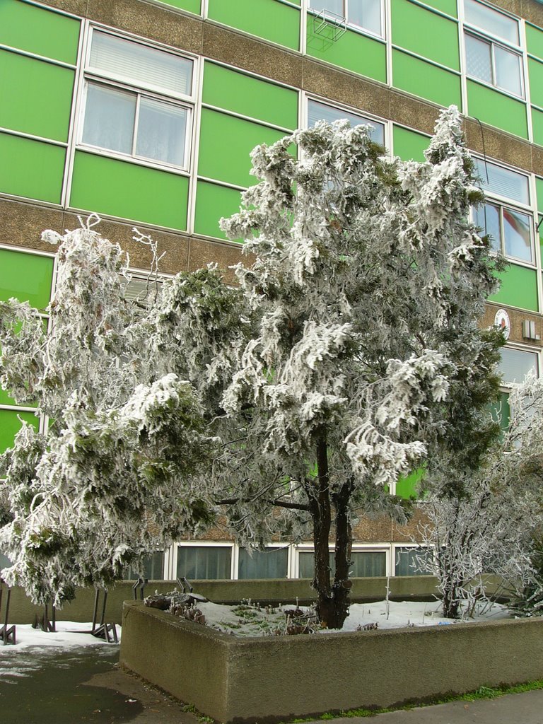 Dunaújvárosi tél 1, Дунауйварош