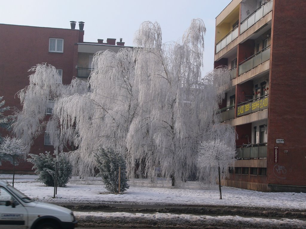 Dunaújvárosi tél 2, Дунауйварош