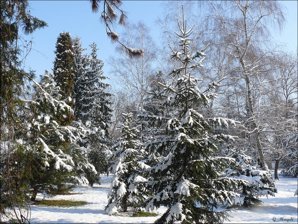 Winter  sunshine, Дунауйварош