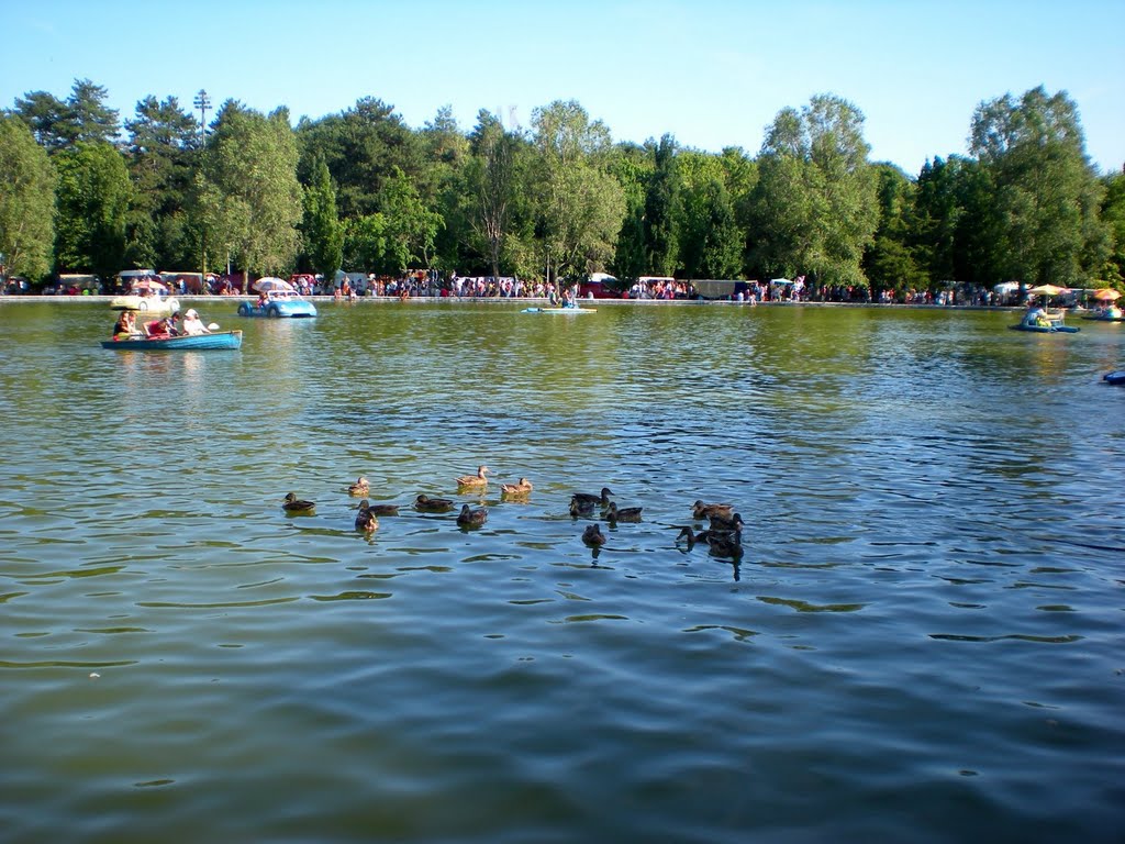 Csónakázó tó, Дебрецен