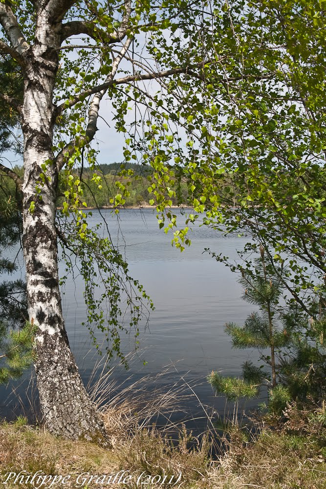 Lac de Miel (Corrèze), Рушан