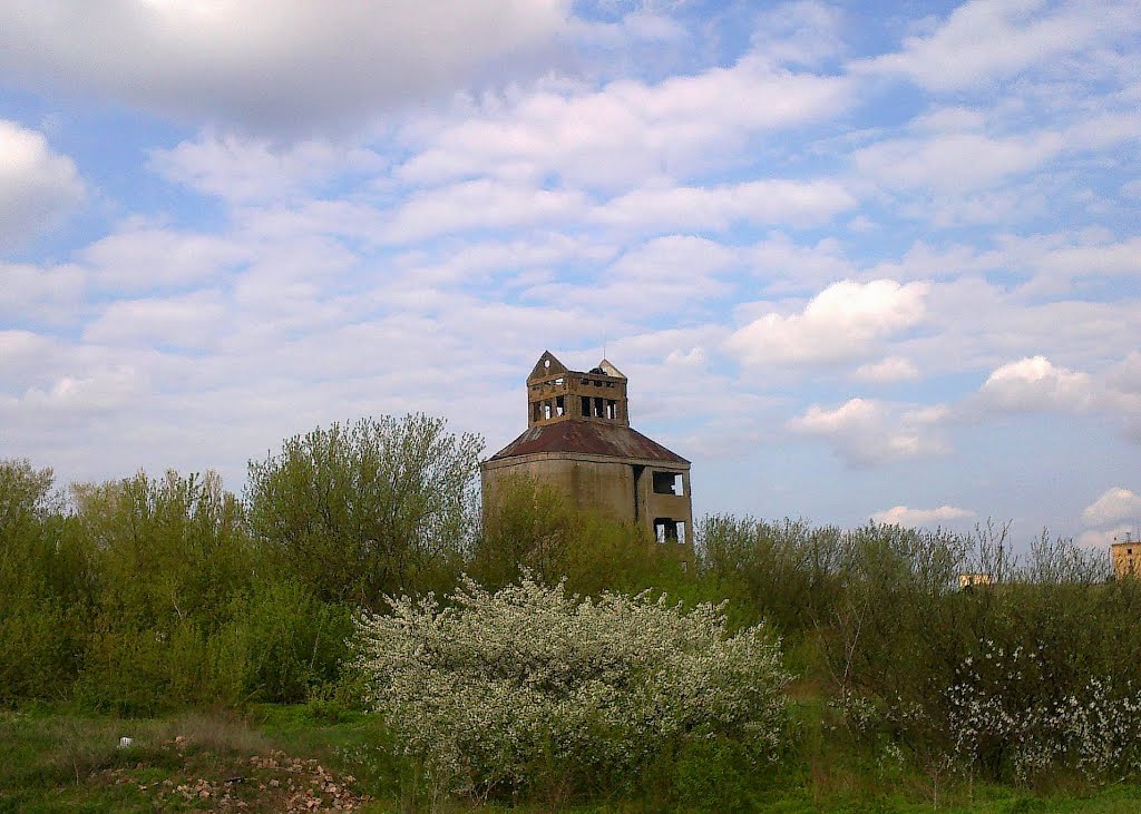 Заброшенное зернохранилище весной, Куйбышевский