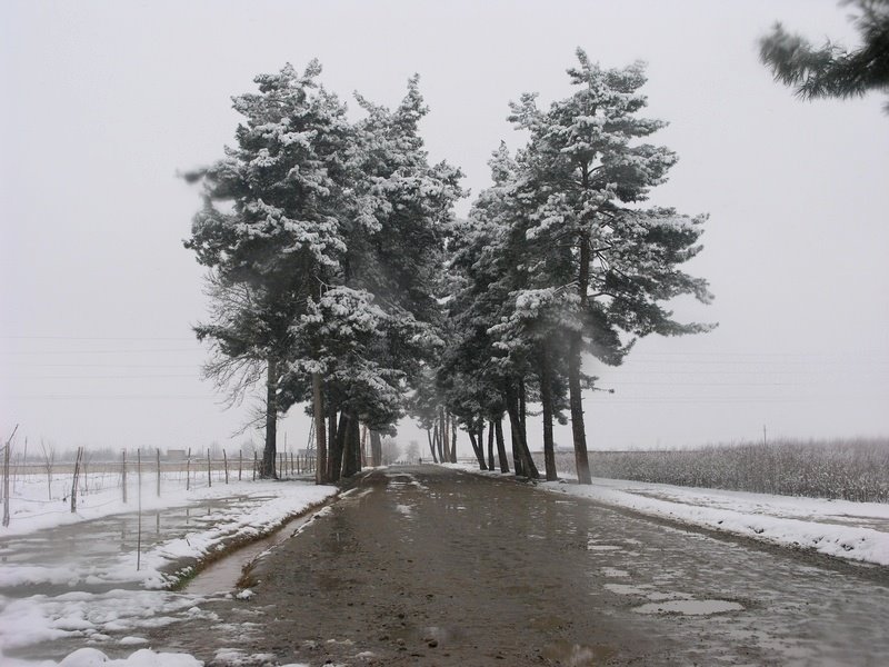 Kunduz in winter, Пяндж