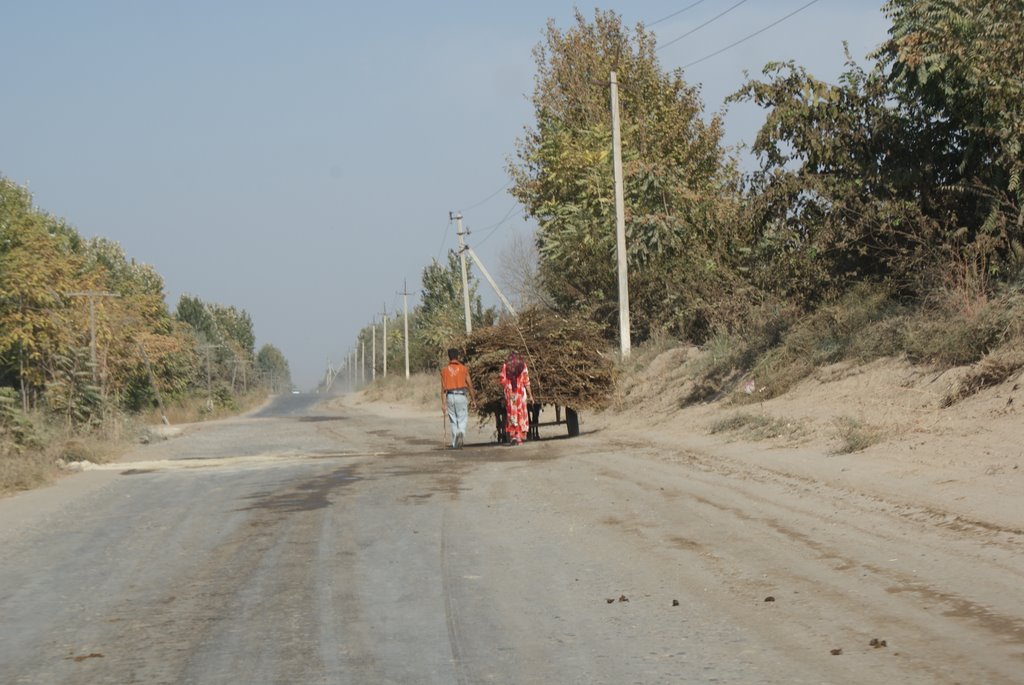 Road Scene, Пяндж
