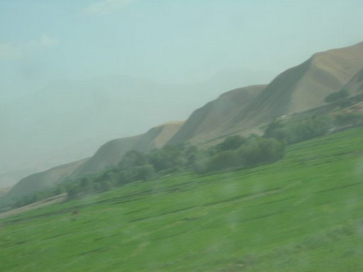 qonduz,afghanistan risefield, Пяндж