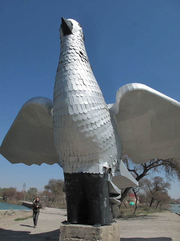 Giant pigeon, Худжанд