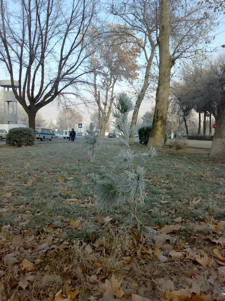 Frosty winter in Khujand - Морозная зима в Худжанде, Зафарабад