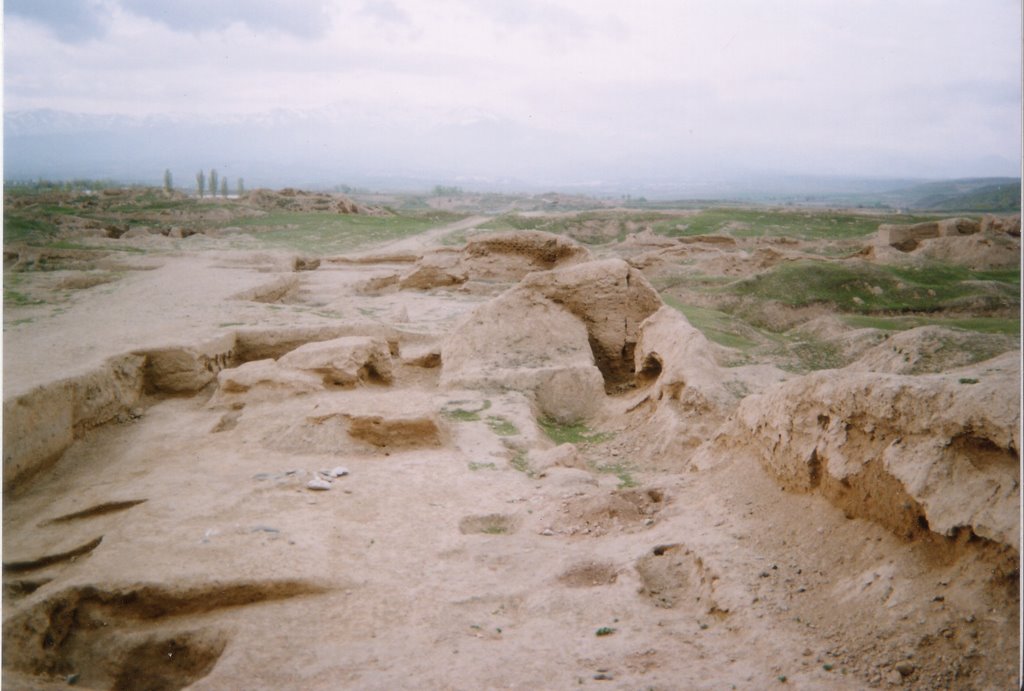 Ancient ruins Penjikent, Пенджикент