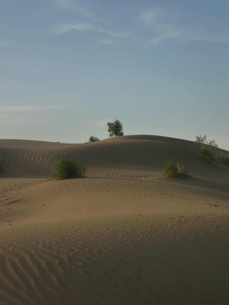 Desert in dusk, Геок-Тепе