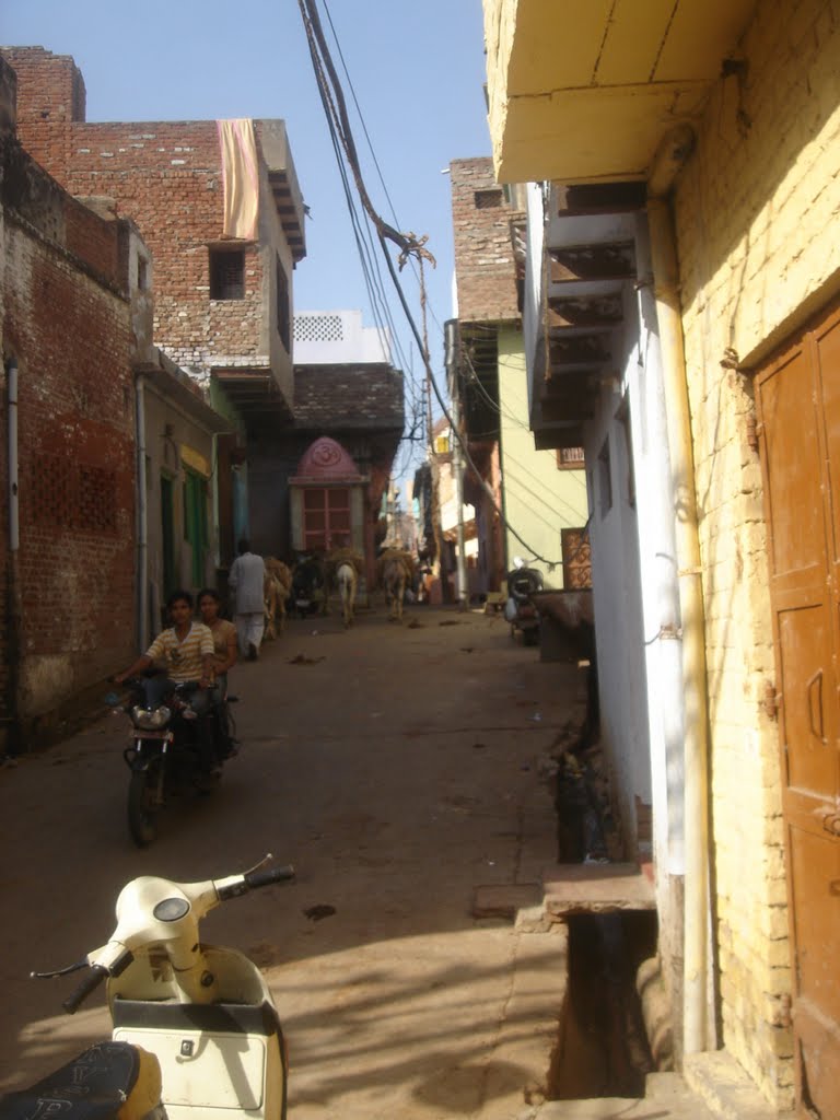 ghati bahalrai, mathura 2, Дарваза
