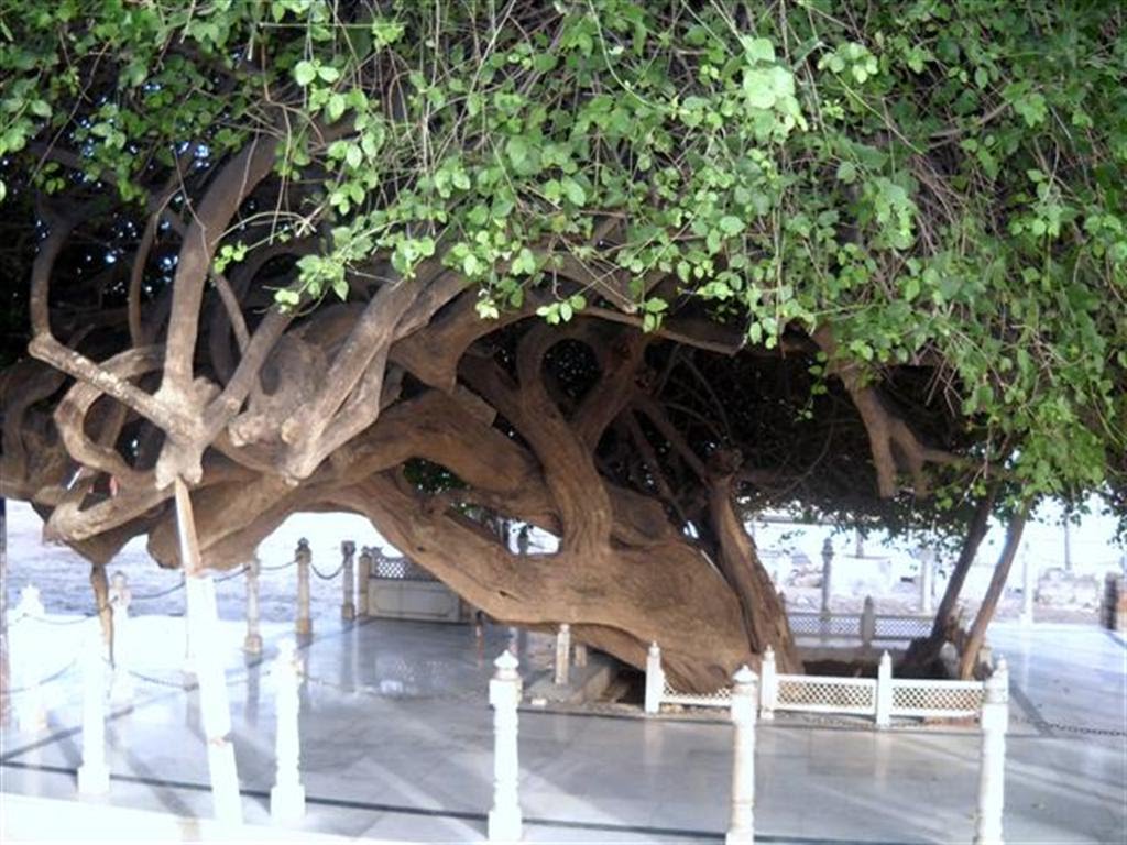 Sadhanasthali of Shivoham Baba in Gokul UP, Дарваза