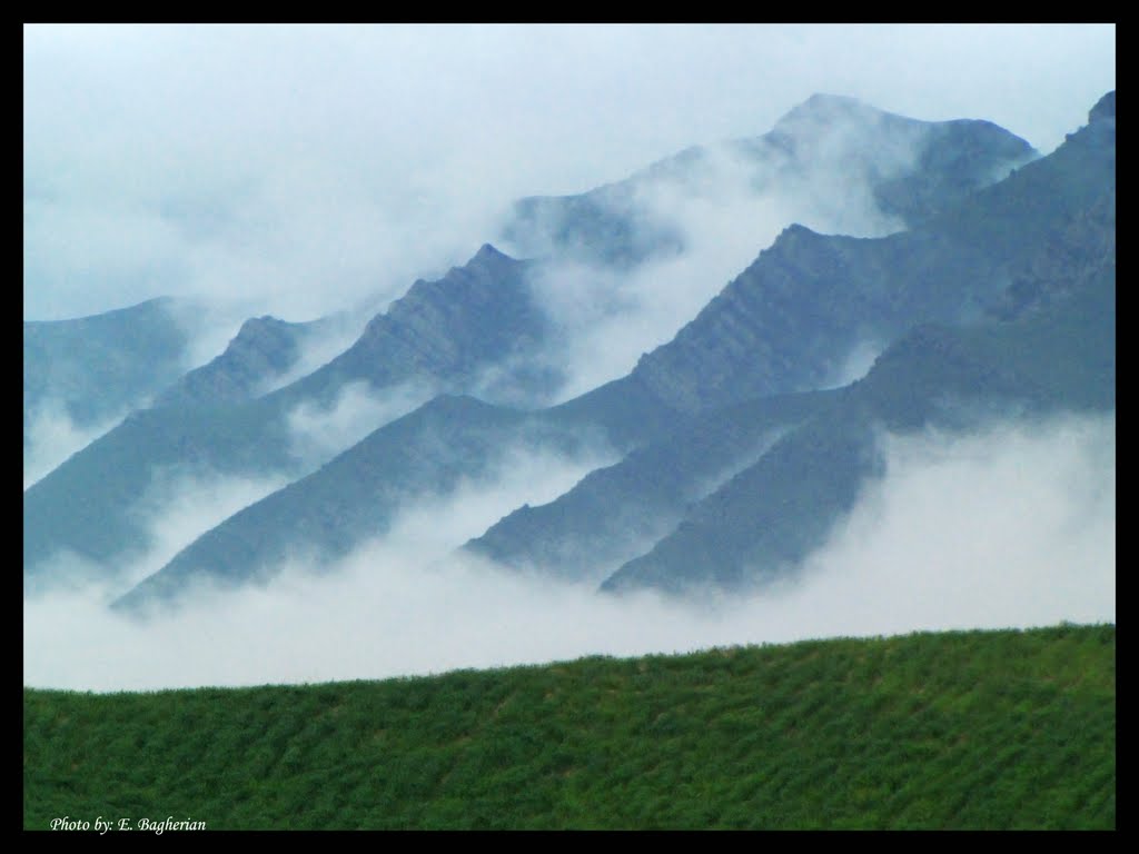 Foggy Mountain _ کوهستان در مه, Душак