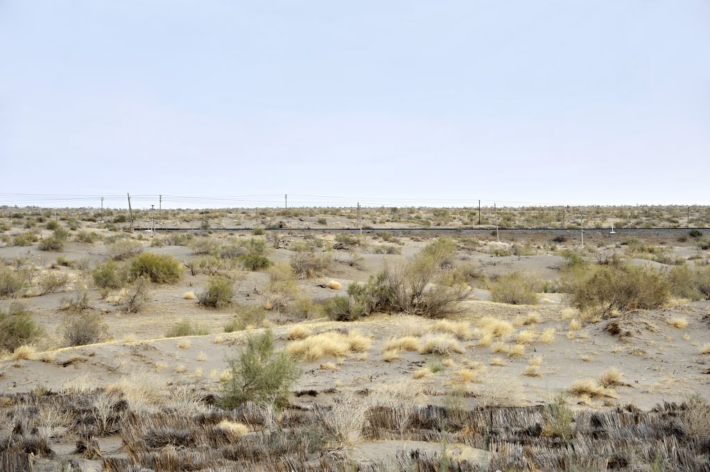 土库曼卡拉库姆沙漠，前景是固沙的草方格沙障，远景是沙漠铁路 Karakum Desert,Turkmenistan, Захмет