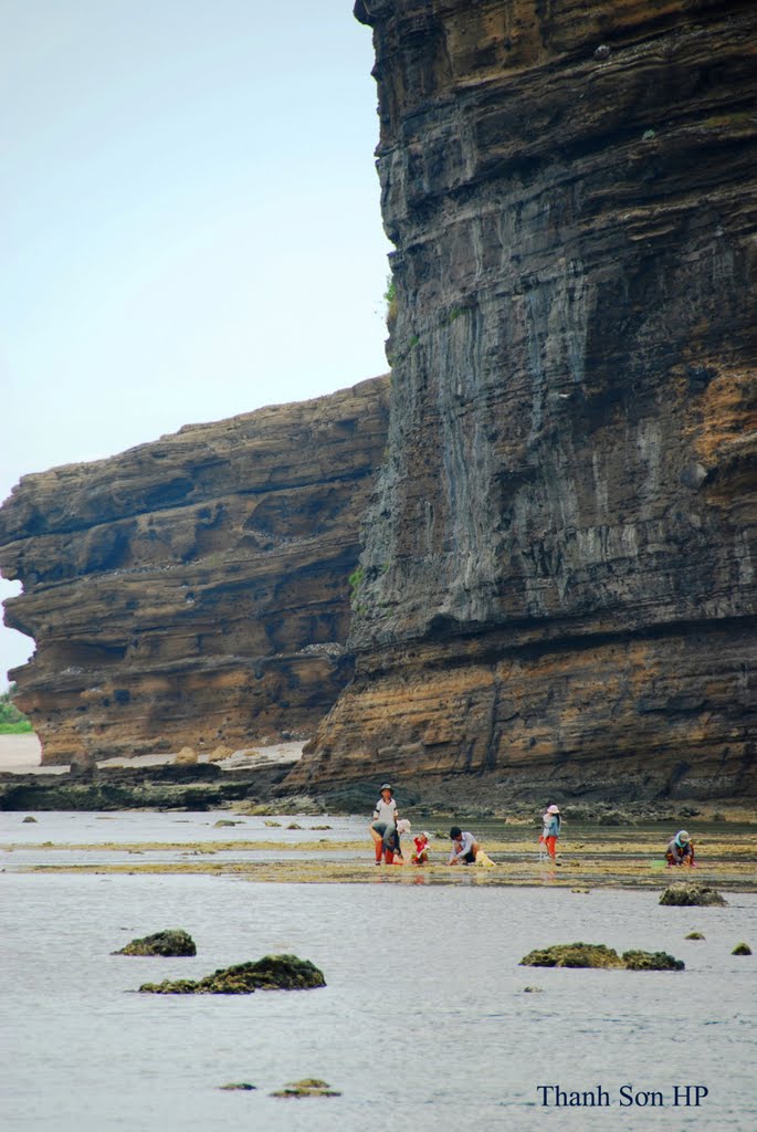 Khai thác hải sản ở bãi triều thuộc bờ Bắc đảo Lý Sơn, Кан-То