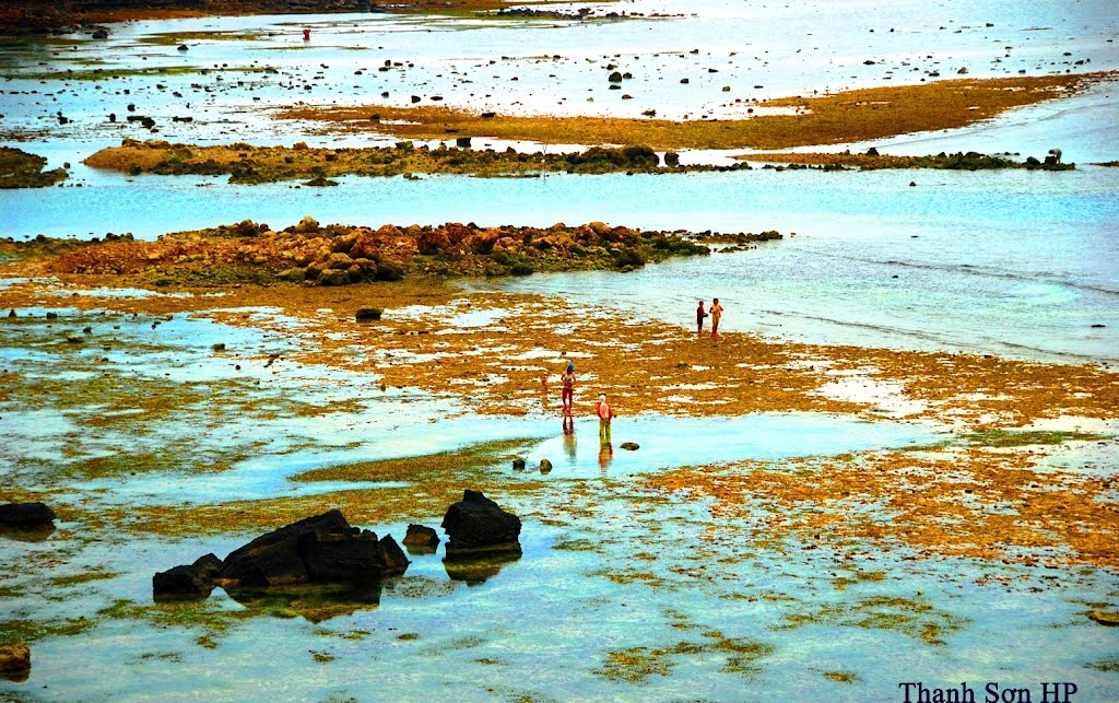 Bãi triều phía Bắc đảo Lý Sơn, Кан-То