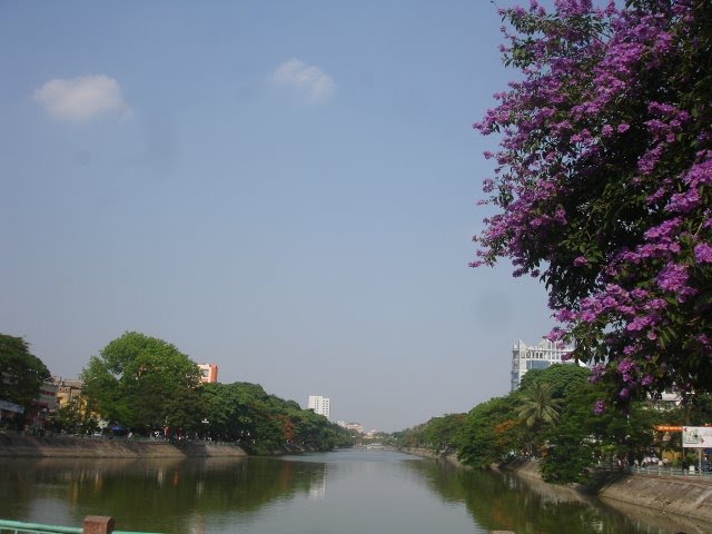 Hoa bằng lăng bên bờ sông lấp Hải phòng, Хайфон