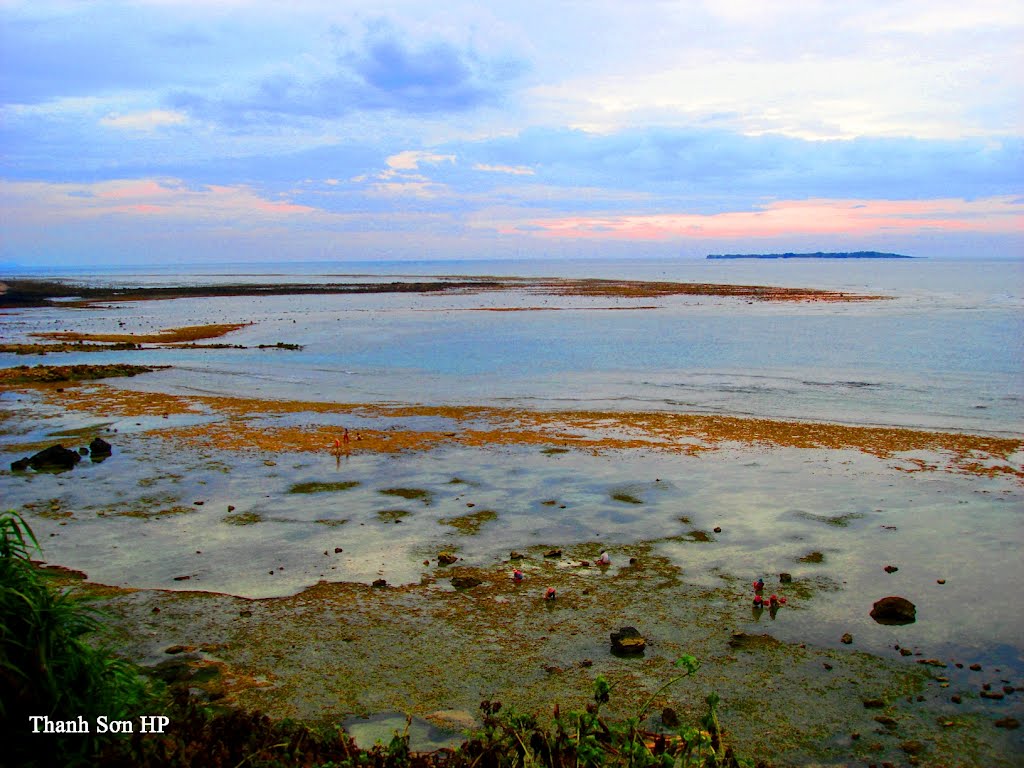 Bãi triều ở phía Tây Bắc đảo Lý Sơn, Вунг-Тау