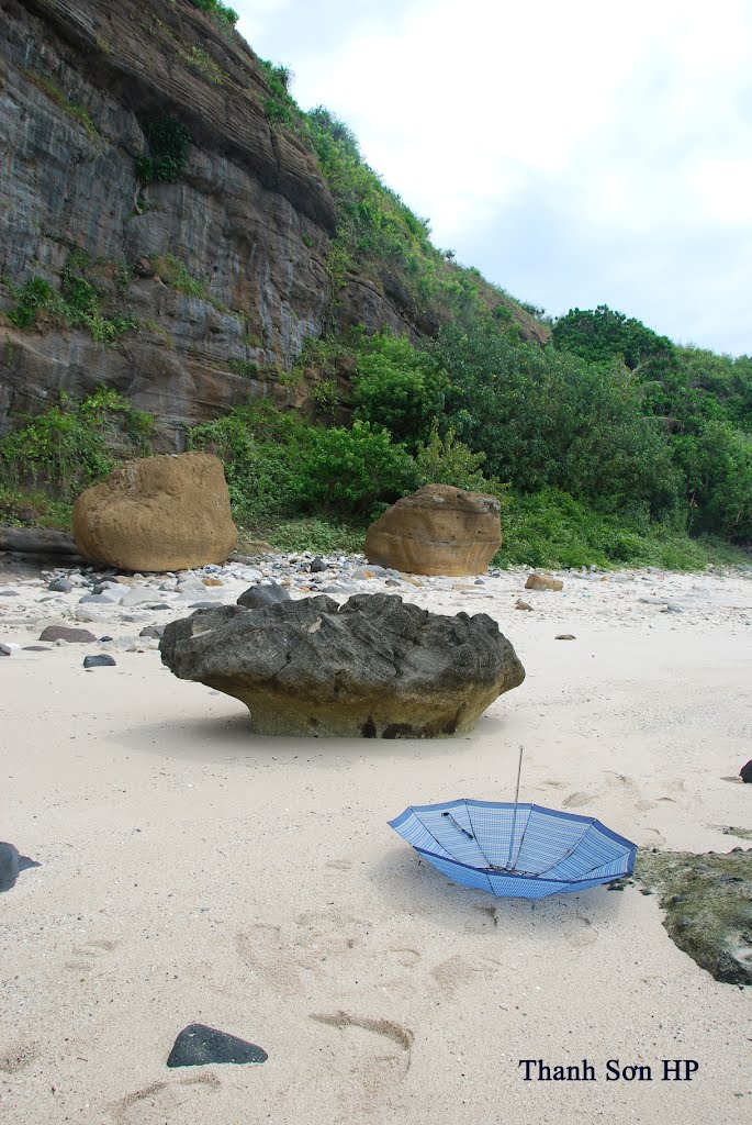 Một tảng san hô chết nằm trên bãi biển hiện đại, Вунг-Тау
