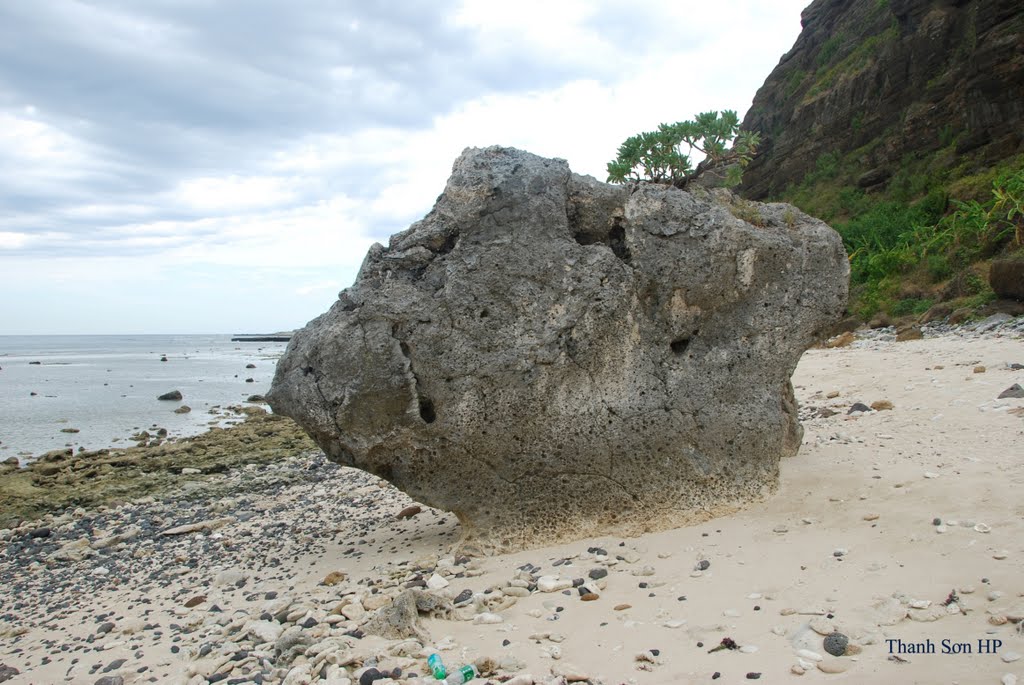 Một khối san hô chết trên bãi biển Lý Sơn, Винь