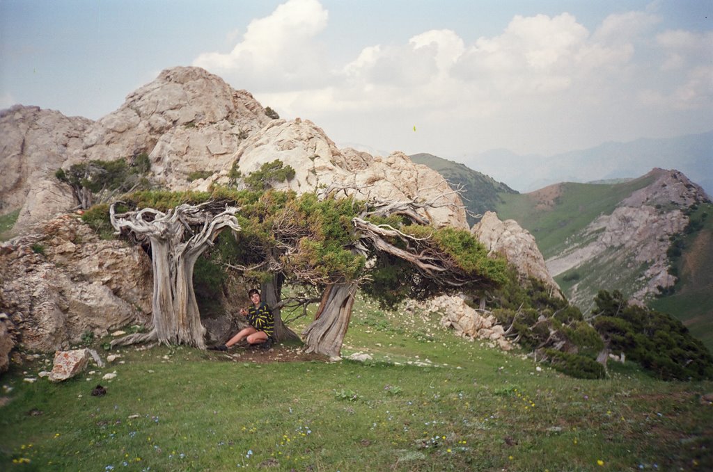 Djindy-Bel plateau, Балыкчи