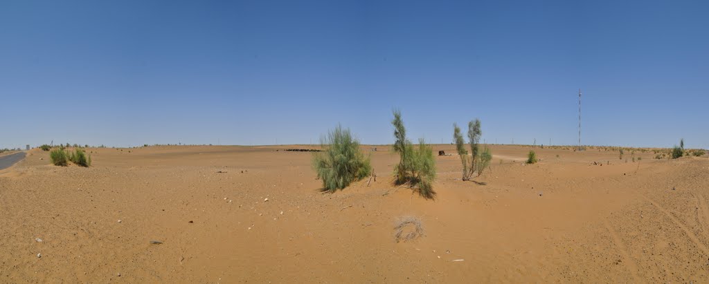 The Kyzyl Kum the 11th largest desert in the world in Uzbekistan., Алат