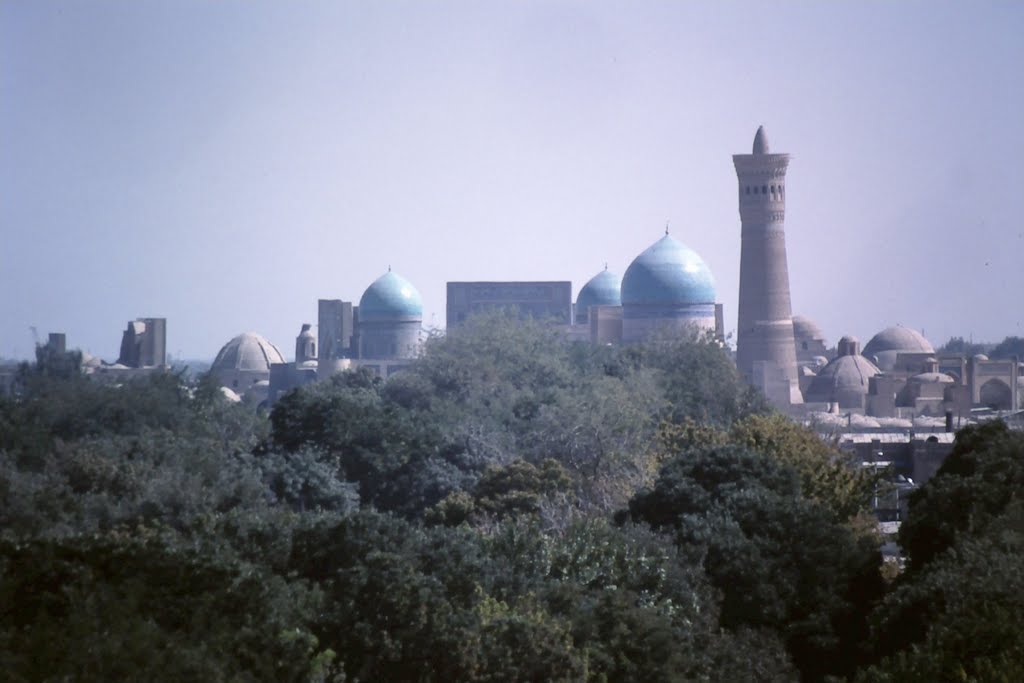 Uzbekistan, Алат