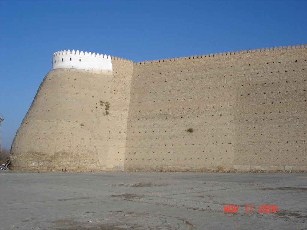 Walls of the Ark, Бухара