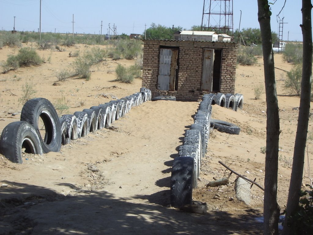 "Mythic Toilets" Toilettes mythiques dans le désert Kizyl Koum Uzbekistan, Газли