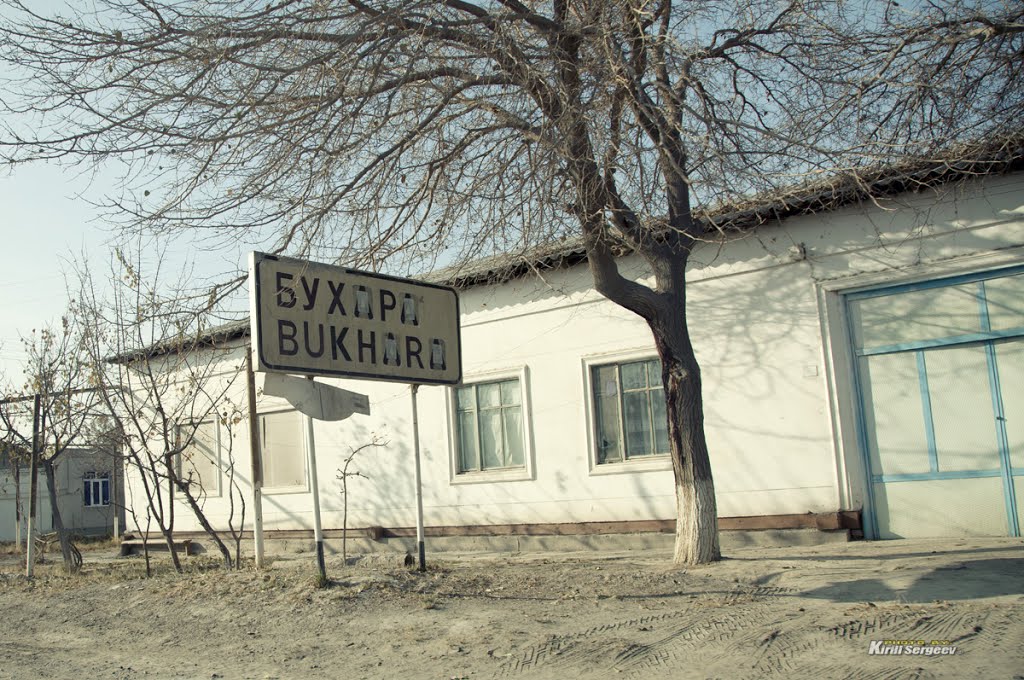 Welcome to Bukhara!, Галаасия