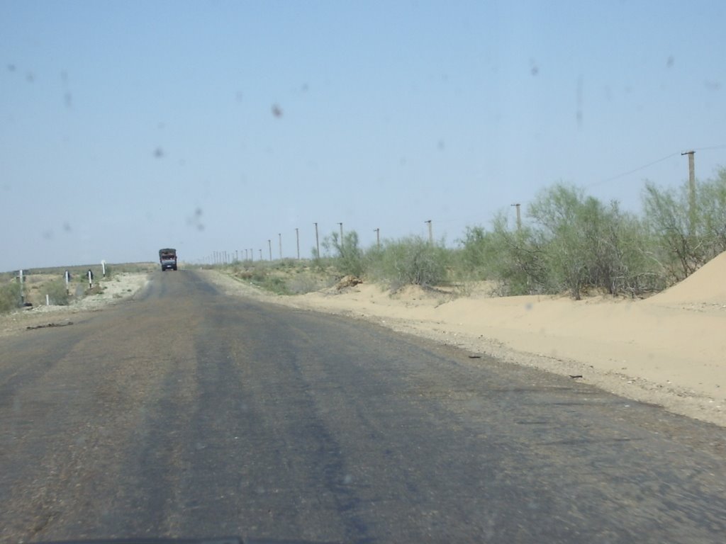 "Desert Road"   Kizyl Koum   -  Uzbekistan, Каракуль