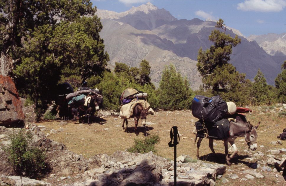 Arrivée de nos ânes au campement (près du lac dAlaoudine), Заамин