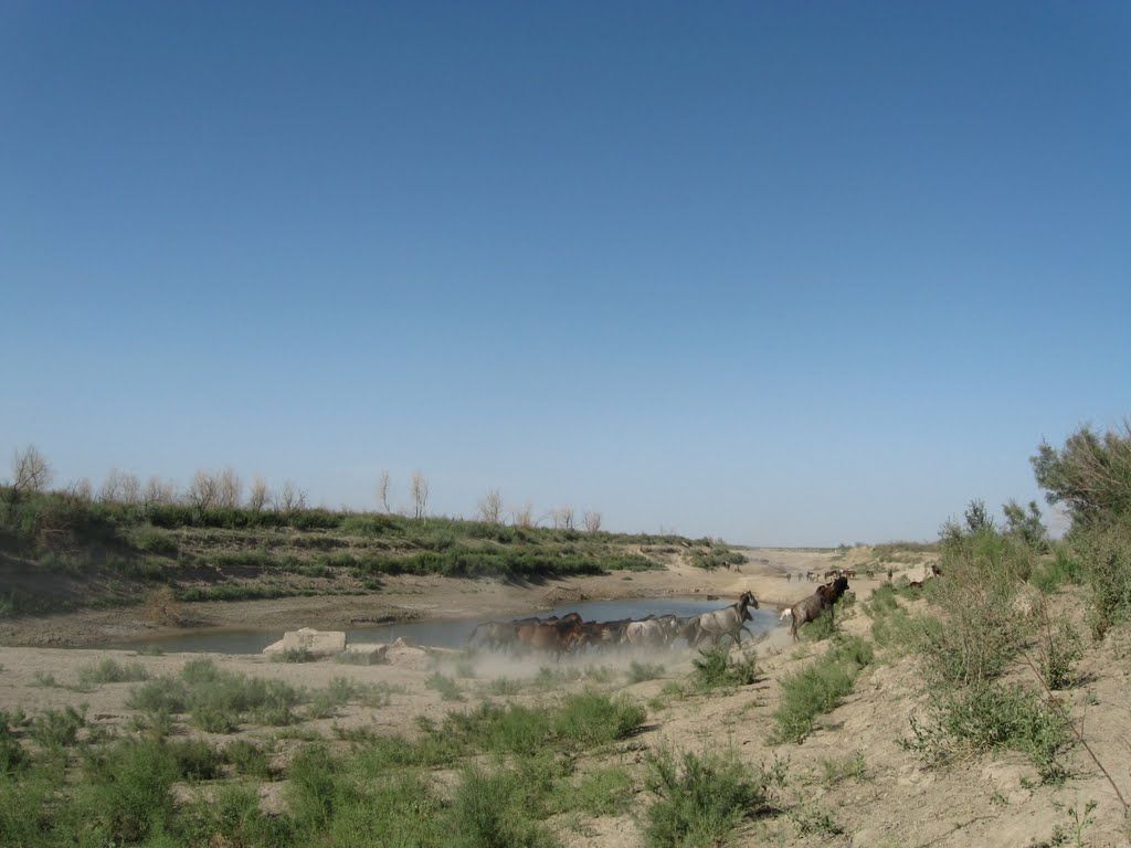 Near Aral Lake (former coast ), Кегейли